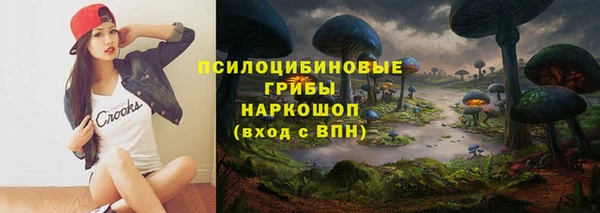 спайс Магас