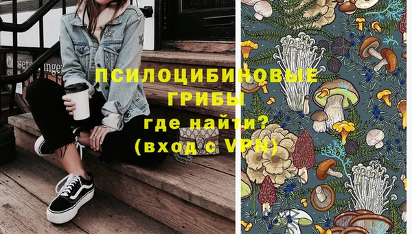 бошки Лабытнанги