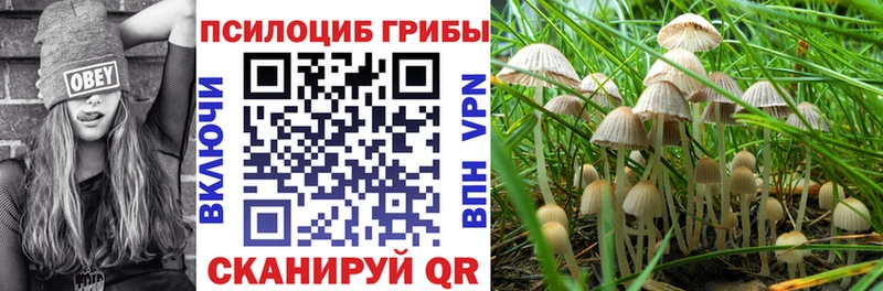 Псилоцибиновые грибы Magic Shrooms  как найти   Белоозёрский 
